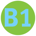 B1
